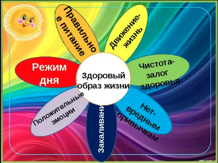 Здоровый образ жизни